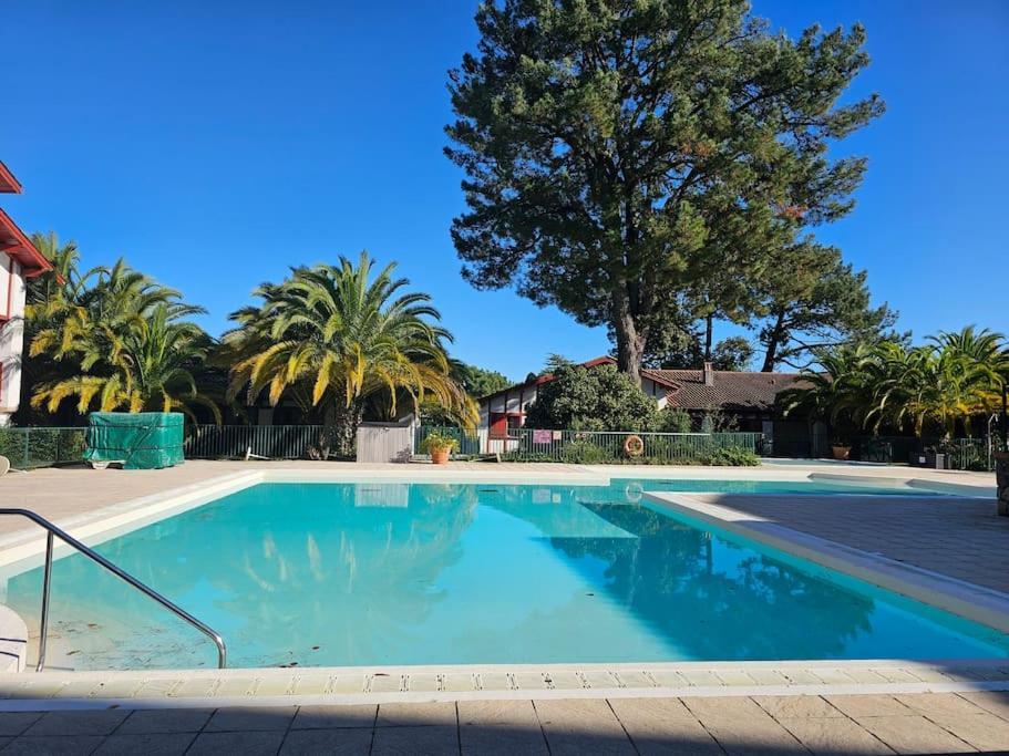 T2 Ciboure 4 Pers Avec Piscine Ideal Vacances ภายนอก รูปภาพ
